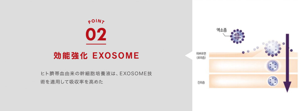 POINT2 効能強化 EXOSOME ヒト臍帯血由来の幹細胞培養液は、EXOSOME技術を適用して吸収率を高めた