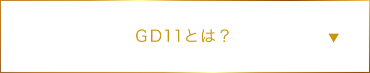 GD11とは？