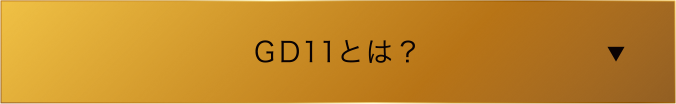 GD11とは？